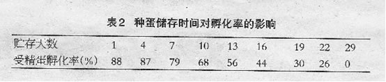 肉种鸡的种蛋管理要求