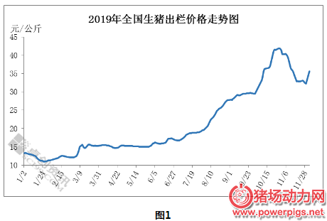 鷴2020Դ