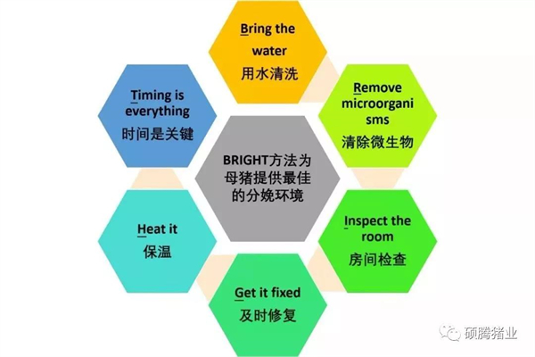 产房的准备&mdash;&mdash;打造最佳产房环境的六个步骤